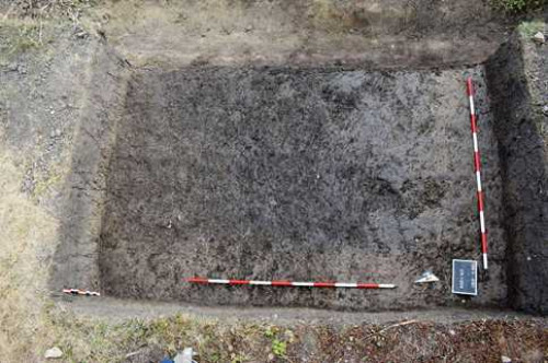 Fig.1